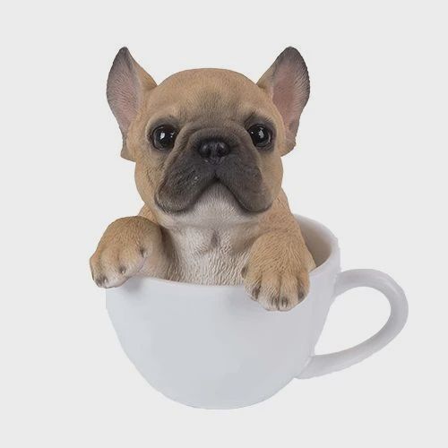PA0055-Pup in Cup : LG