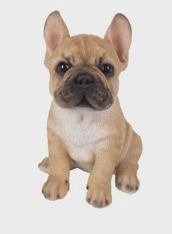 PA0098-Puppy Fig : LG