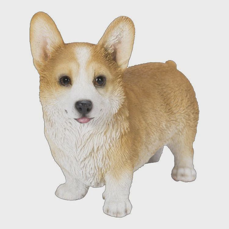 PA0088-Puppy Fig : LG