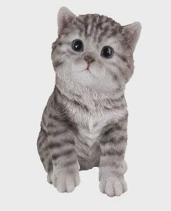 Cats &amp; Dogs