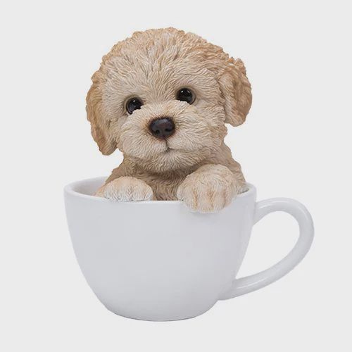 PA0056-Pup in Cup : LG