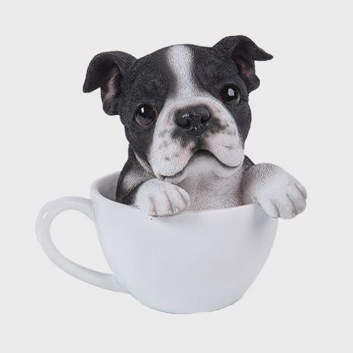 PA0057-Pup in Cup : LG