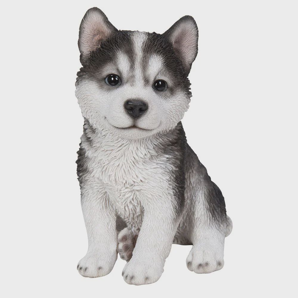 PA0089-Puppy Fig : LG