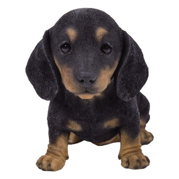 PA0087-Puppy Fig : LG