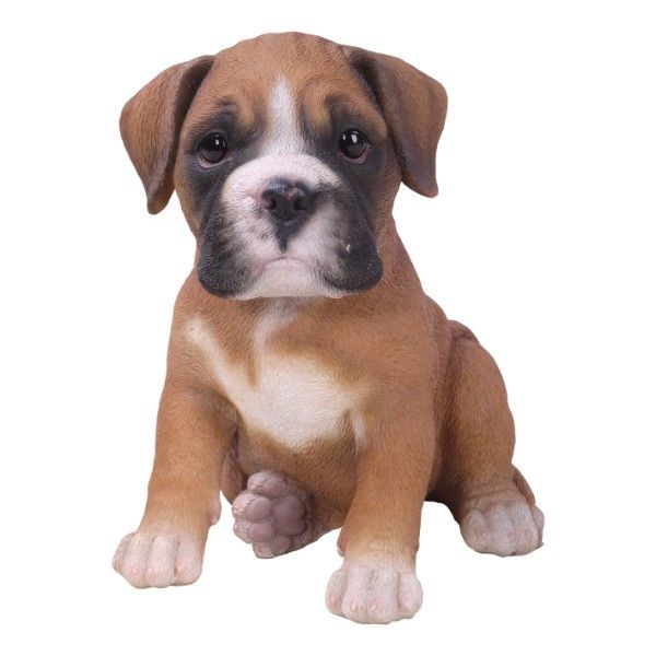 PA0085-Puppy Fig : LG
