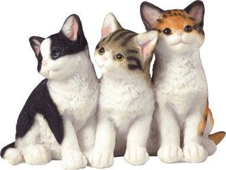 GC0853-ANIMAL