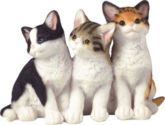 GC0853-Animal : Cats