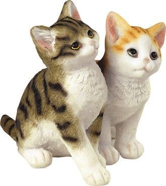 GC0967-Animal : Cats
