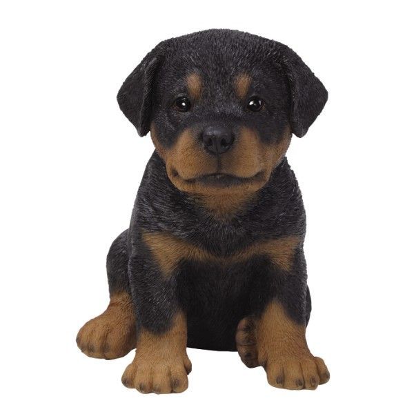 PA0086-Puppy Fig : LG
