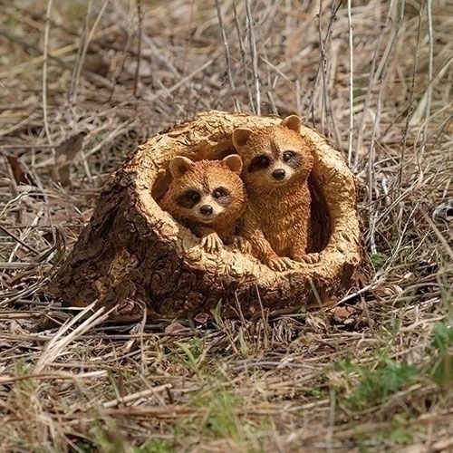 RO1228-Timber Tails : Raccoons