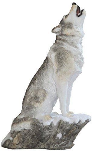 GC0349-ANIMAL
