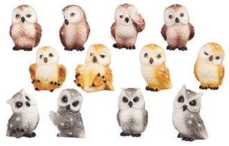 GC1144-OWLS : n/box