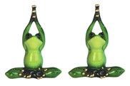 GC1032-FROG : n/box
