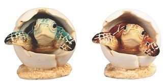 GC1130-TURTLE EGG 2PC SET : n/ box