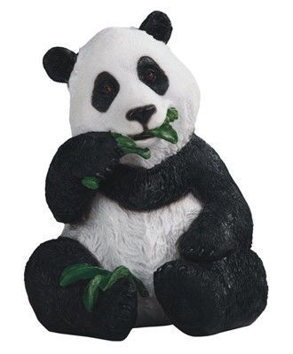 GC0888-ANIMAL