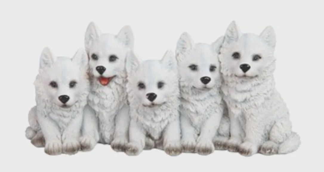 GC1154-Animal : Wolf Cubs