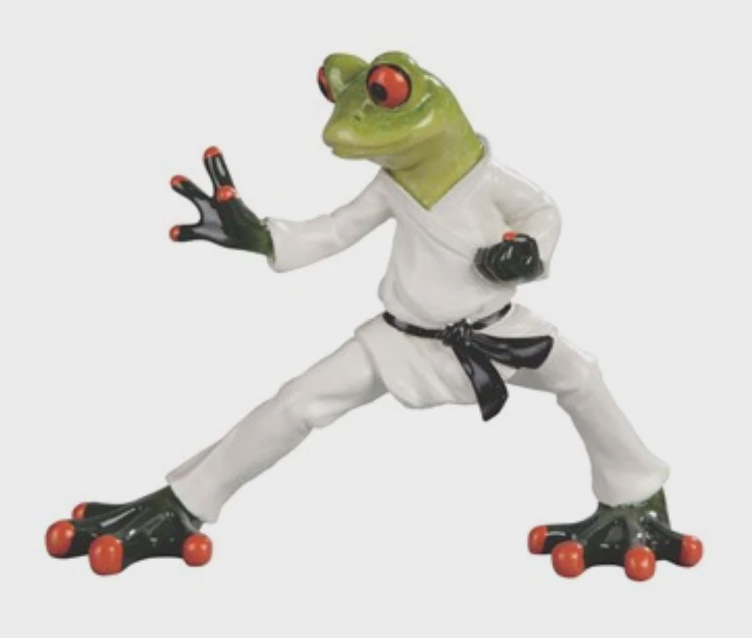 GC1164-FROG : Taekwondo