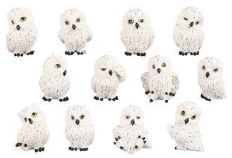 GC1143-OWL MINI 12PC SET : n/ box