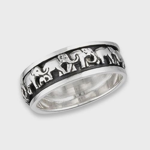 WG0287-SS Ring