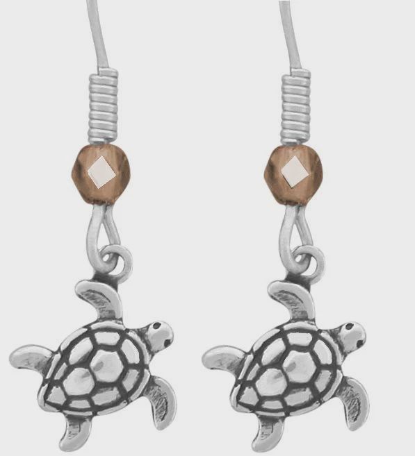 WH3268-SS EARRINGS