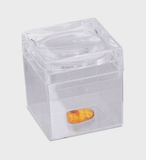 VS0359-Fossil Box
