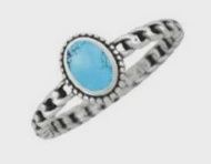 WH1030: Stainless Opal, Size: 6