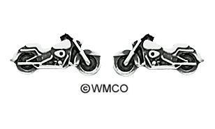 WH3008-SS EARRINGS