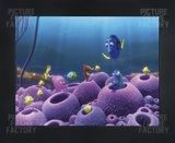 PF0010-Dory : 12" x 16"