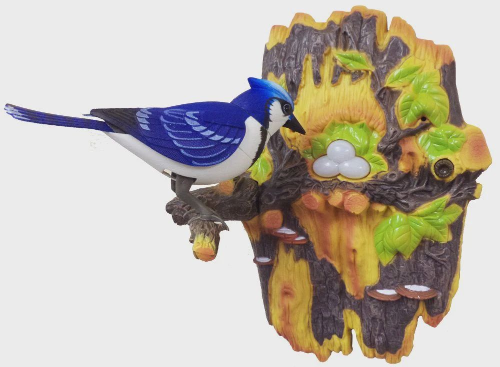 AS0005-Bluejay