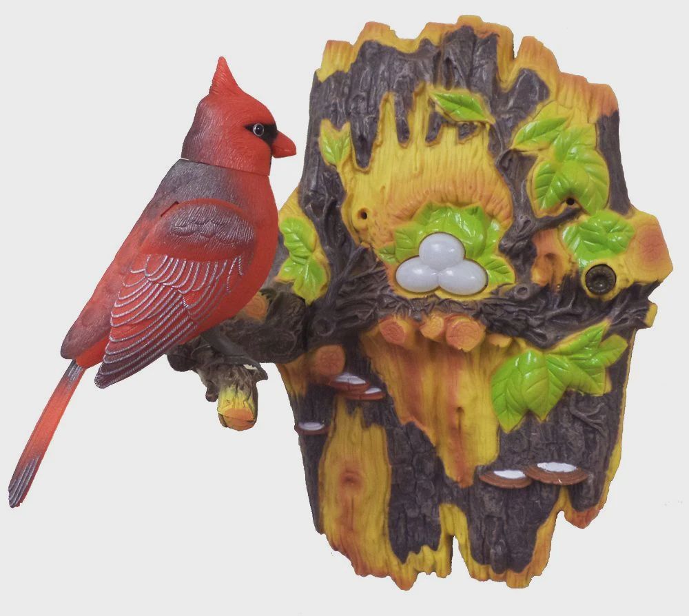 AS0004-Cardinal
