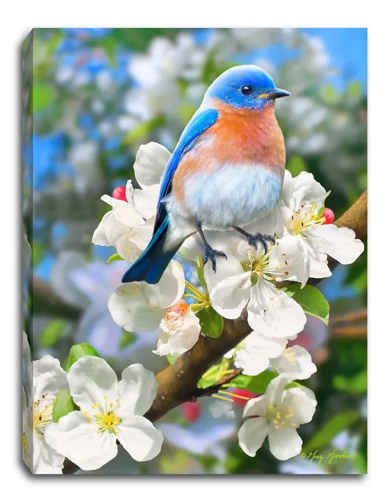 GD0045-LED Canvas : BIRDS Bluebird