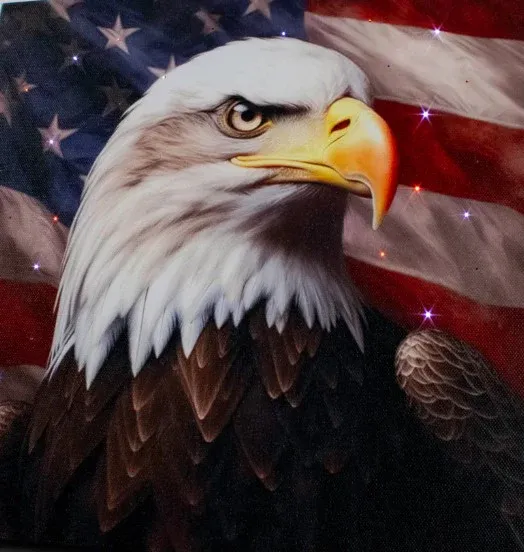 GD0132-LED Canvas : Patriotic Pride