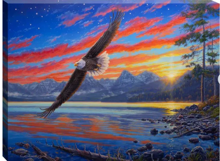 GD0138-LED Canvas : Freedom Flight