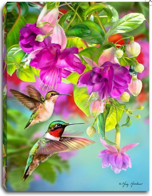 GD0072-LED Canvas : BIRDS Hummingbird