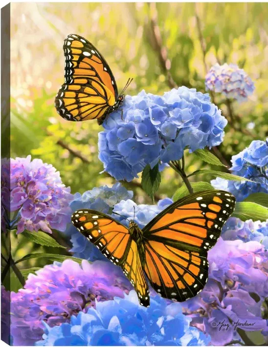 GD0135-LED Canvas : Butterflies and Hydrangeas