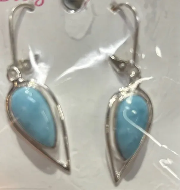 SS0400 - Designer Earrings : Larimar