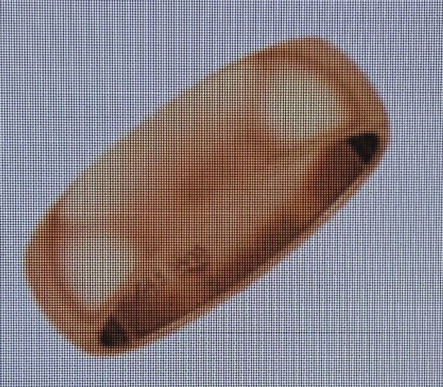 WH4114-COPPER BAND