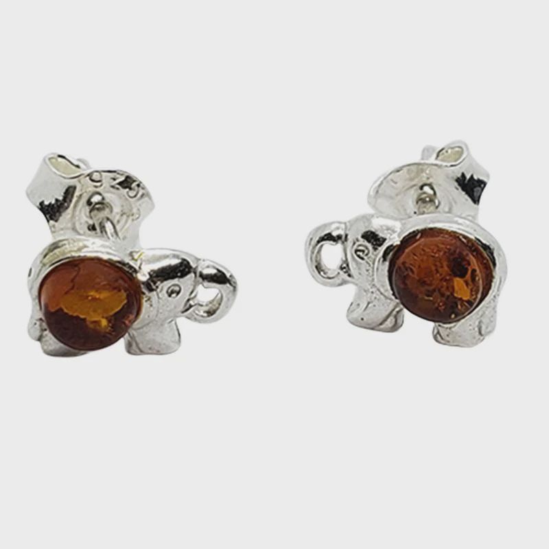 AM0094-Earrings