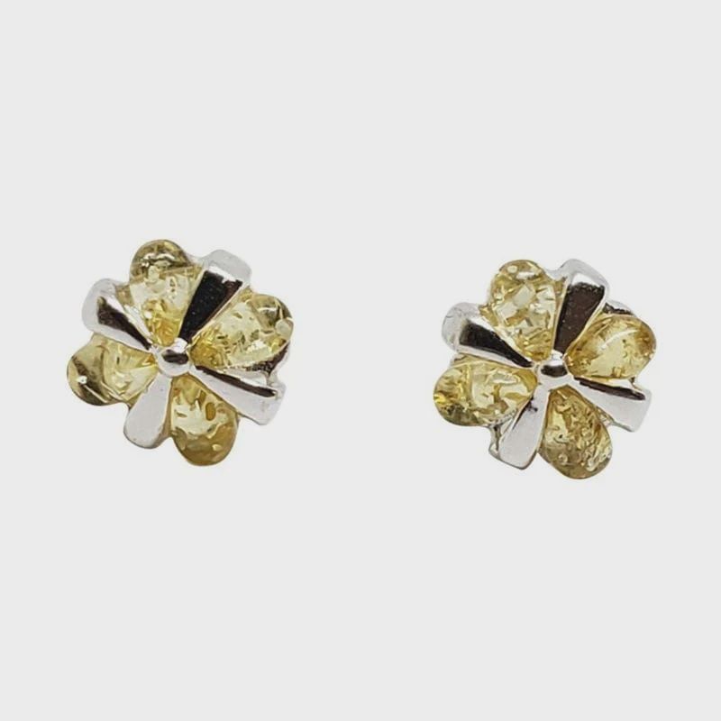 AM0141-Earrings