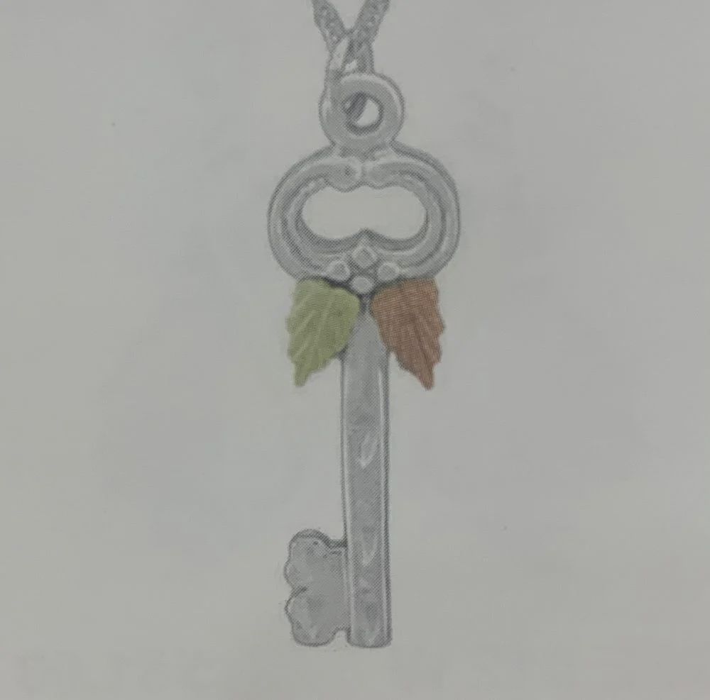 WH4509-BHG Slvr Key