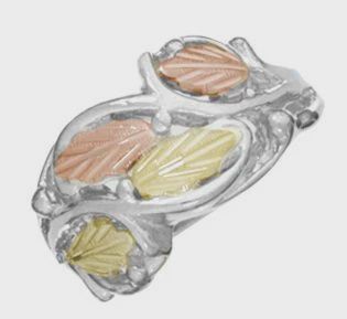WH3155-BHG Silver Band