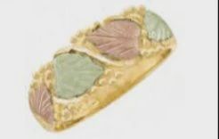 WH4501-BHG Gold Bnd