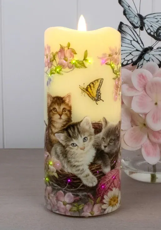 GD0133-LED Canvas : Sweet Kittens
