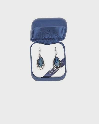 AX0686-Earrings : Double Oval (PP)