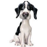 PS0066-Pets (Large)