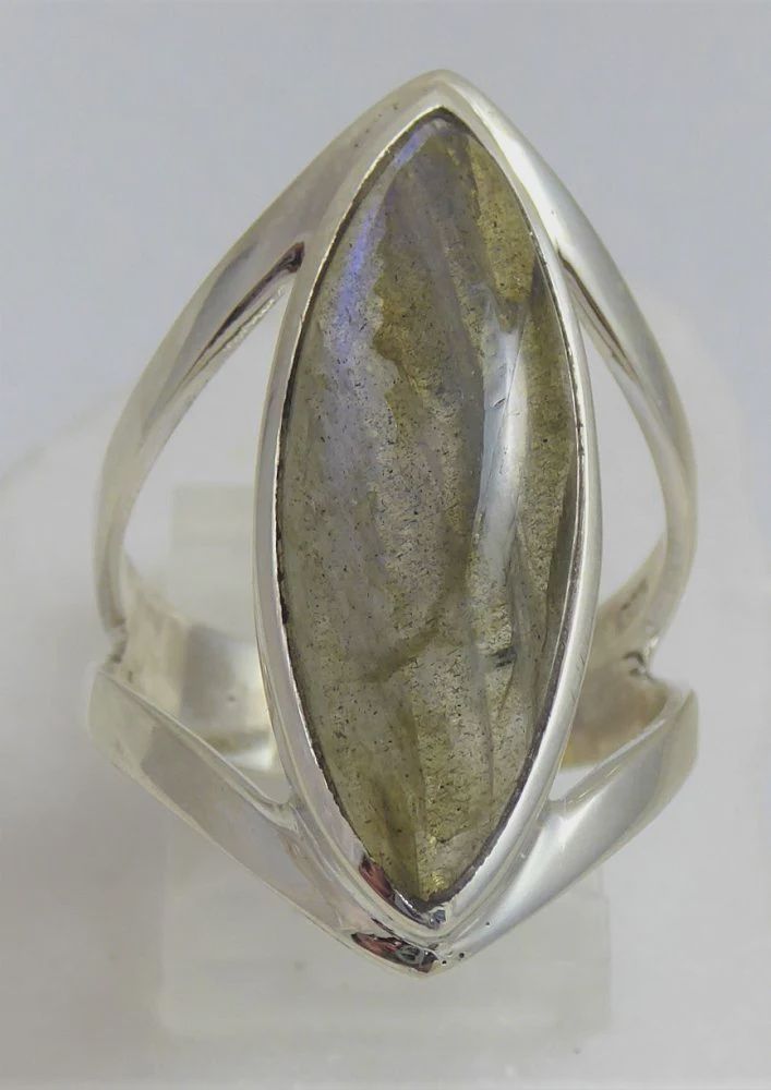 PT0110-Lab Ring