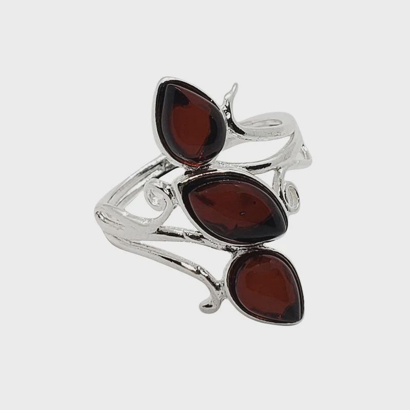 AM0093-Ring