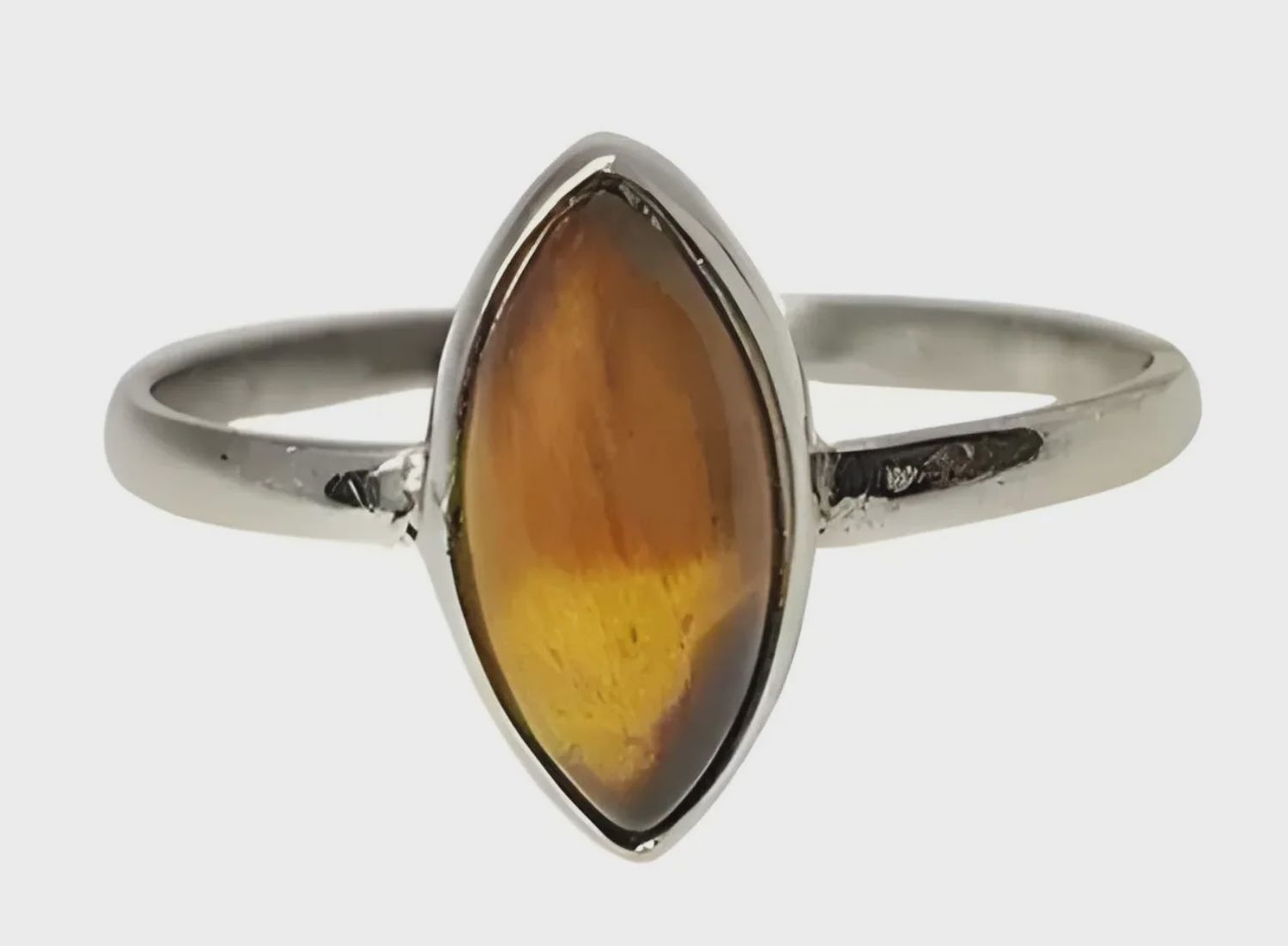 AM0170-Tiger Eye SS Ring