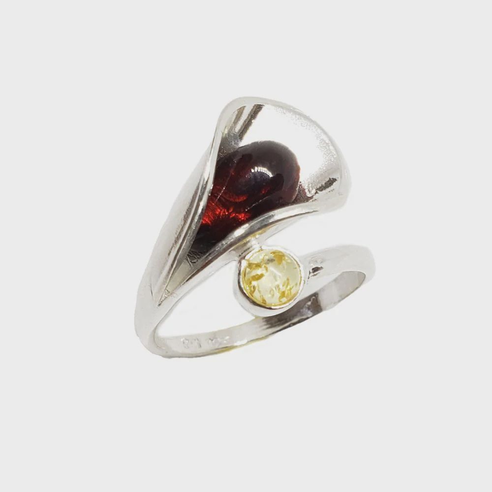 AM0112-Ring