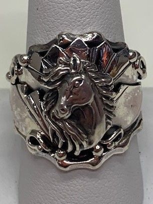 RB0105-Navajo Ring : 10